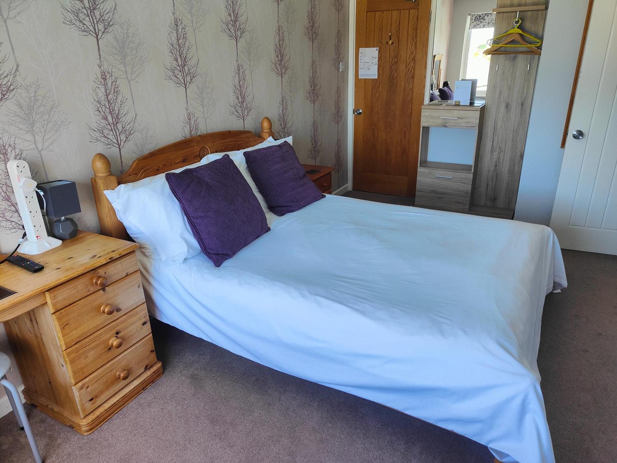 Pine Lodge Hotel New Quay エクステリア 写真