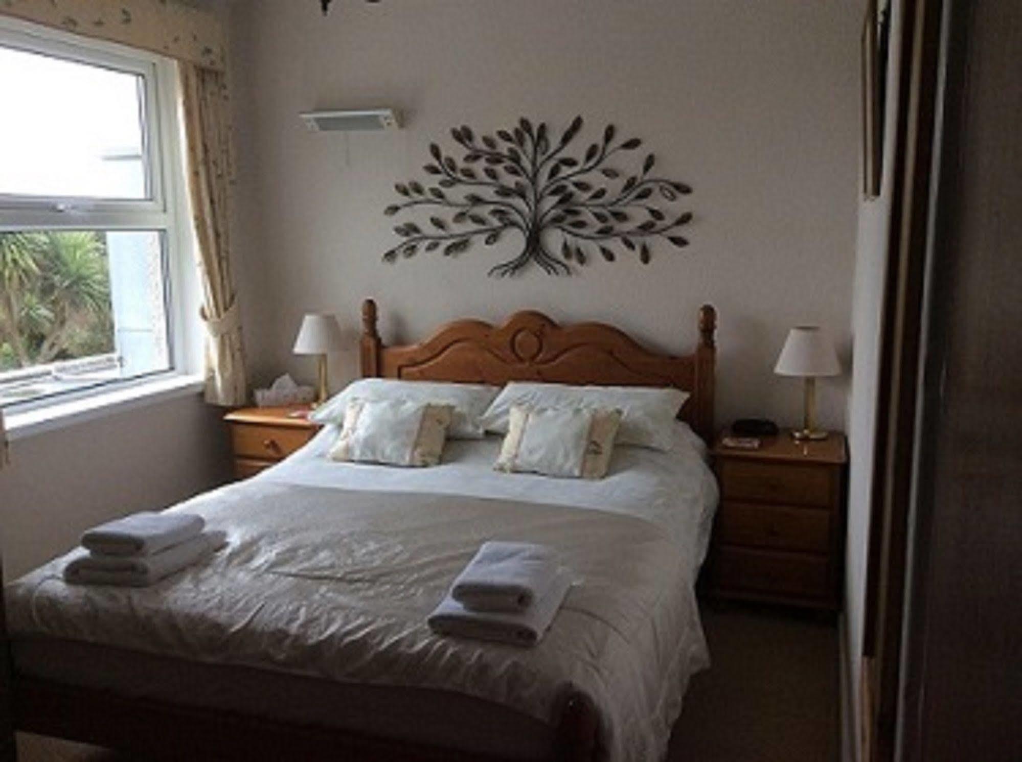 Pine Lodge Hotel New Quay エクステリア 写真