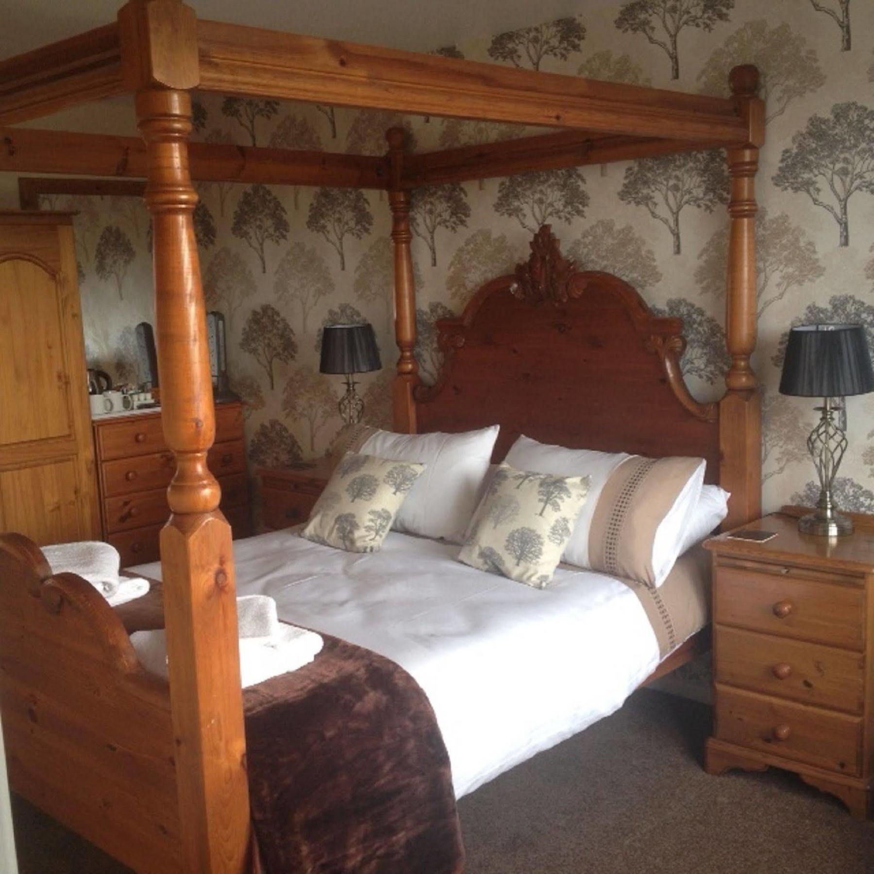 Pine Lodge Hotel New Quay エクステリア 写真
