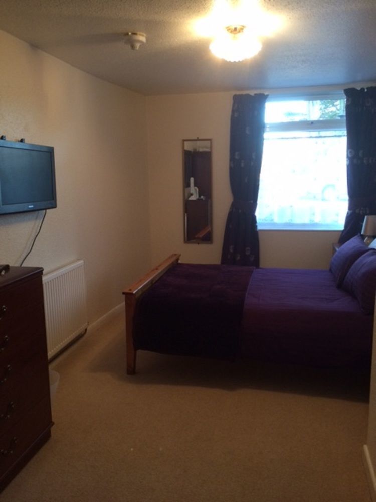 Pine Lodge Hotel New Quay エクステリア 写真